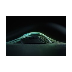 Razer DeathAdder V2 Pro - Wireless Optical Gaming Mouse - Sleek Black Design for Ultimate Performance
